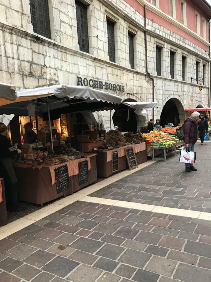 Ferienwohnung La Perle De La Vieille Ville D'Annecy Exterior foto